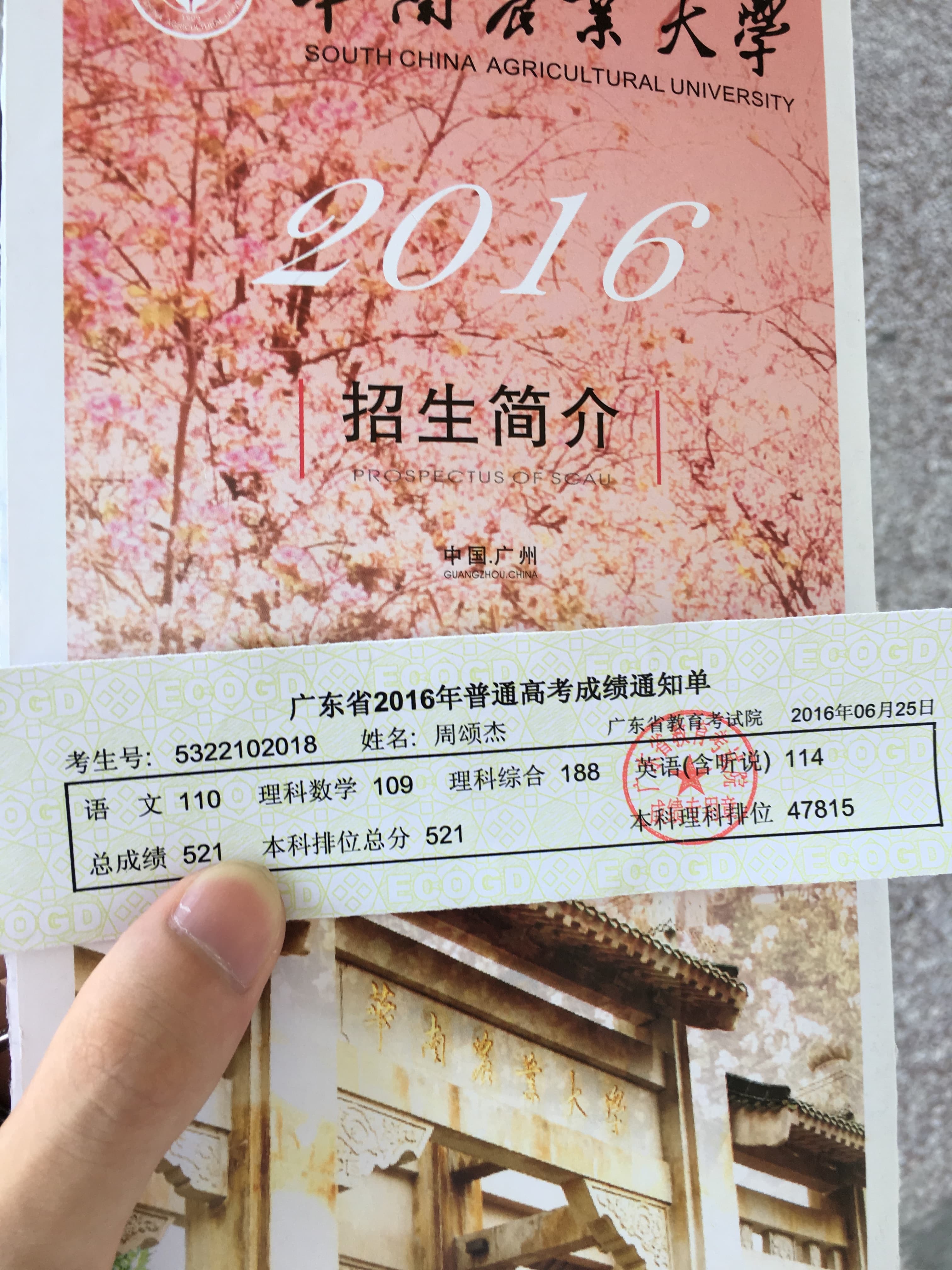 高考成绩单